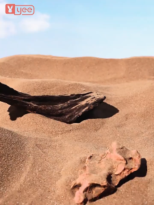 cát ấn độ (buddy nâu - ấn ) - lót chuồng cho hamster đuôi mập... - T3 PETS SHOP