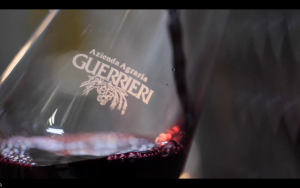 Azienda Agraria Guerrieri Guerriero Della Terra Blend 2020 750ml 15% Marche Italy Red Wine