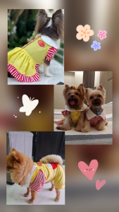 PetSociety เสื้อสุนัข เสื้อแมว ชุดคู่พนักงานเบอร์เกอร์ ชุดกระโปรง ชุดกางเกง