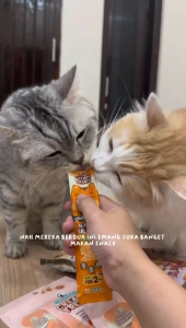 Cemilan kucing snack kitten penggemuk badan dan penambah nafsu makan kucing makanan basah cat food strips 15g