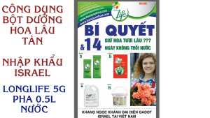 [HCM](COMBO 30 GÓI) GÓI DƯỠNG HOA TƯƠI LONGLIFE CỦA ISRAEL GIỮ HOA TƯƠI LÂU GẤP 2 LẦN VÀ 14 NGÀY KHÔNG THAY NƯỚC MỚI