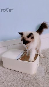 Focat Tempat Penyimpanan Makanan Hewan Serbaguna E33-E34 Pet Food Dispenser Box/Food Bucket/Wadah Makanan/Biji-bijian/Sereal