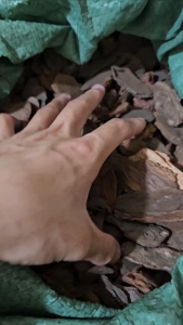 Gỗ thông lót chuồng bò sát (1kg)