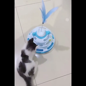 IMMCUTE 4 Levels Cat Toy Tower Turntable Roller Balls Toys Interactive Intelligence Training Track Puzzle Funny Games Accessories