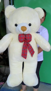 ตุ๊กตาพี่หมีเท้ดดตี้ขนาด100เซนติเมตร ตัวใหญ่จริงนะคะ