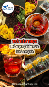 30 set trà tiêu thực giảm đầy bụng khó tiêu mát gan dưỡng nhan đẹp da - Thảo Dược Hạnh Nguyên