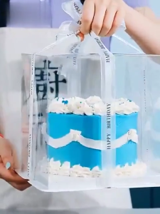 2 layer 3 Layer Acetate Cake Box Clear Cake Box Transparent Box without Ribbon