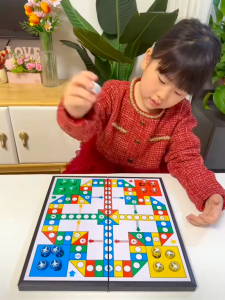 Bộ cờ bay nam châm - biến thể cờ cá ngựa huyền thoại mới nhất 2024