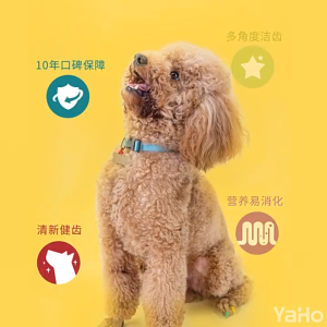 Dog Nutrition: Dog Dental Stick Grinding Dog Treat, Dentastix for Dogs, and Reward Treats for Training