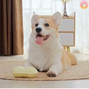 ถัวลิสงหอมกลิ่นนม ของเล่นสุนัข ของเล่นขัดฟันสุนัข กัดแล้วมีเสียง B050