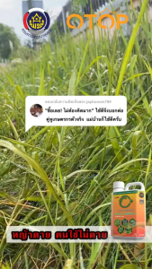 สารกำจัดวัชพืช สูตรอินทรีย์ (ส่งฟรี) ขนาด 1000 ML. ปลอดภัย เป็นมิตรต่อสิ่งแวดล้อม