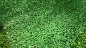 (แบบแบ่งตัด) หญ้าเทียม 1cm./1.5cm./2cm. ขนาด 25 ตรม.หญ้าเทียมปูพื้น ตกแต่งบ้าน ตกแต่งสวน ตกแต่งร้าน รีสอร์ท ใช้งานอีเว้นท์