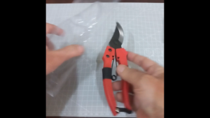 Gunting Ranting Dahan Bunga Bonsai Tiger