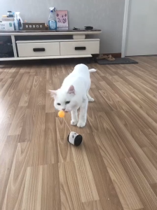 Đồ chơi cho Mèo xe cân bằng tự động gắn lông vũ và trái banh (mẫu mới) - Love Pets Shop