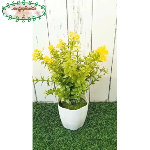 Pohon Daun Buxus Bunga Kuning Bunga Artificial Pot Plastik Putih Hiasan Meja Cafe Meja Kerja Aesthetic