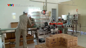 Nước mắm truyền thống Phúc Long 43 độ đạm