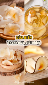 Dừa biển khô 100g dùng nấu canh pha trà bổ phế thanh nhiệt tốt cho sức khỏe - Lãn Ông