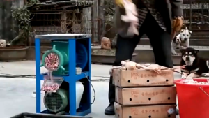 Large Meat Grinder Commercial Bone Crusher Breeding Farm Chicken Skeleton Fish Crusher Hot Pepper Glutinous Rice Cake Electric