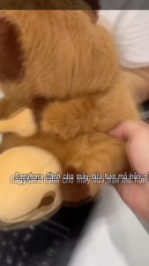 Thú nhồi bông capybara gõ mõ ngộ nghĩnh - Size 35cm - Quà tặng gấu bông chuột lang nước dành cho người cần tịnh tâm.