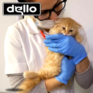 OBAT LUMPUH KUCING DELLO OBAT KEJANG DEHIDRASI TETANUS FEFARM