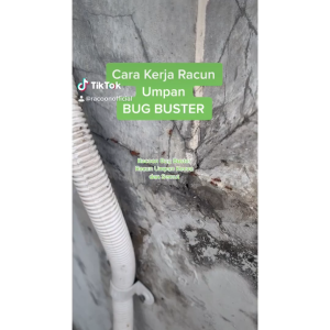 Racoon Bug Buster Spray Kecoa & Semut 250 Ml