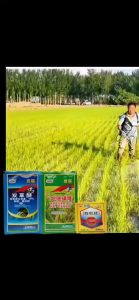 🌾ฆ่าหญ้าเท่านั้น🌾หลังโรยหญ้าตายอัตโนมัติ ยาคุมหญ้าข้าว หญ้าไม่ขึ้น 5 ปี คุมฆ่าในนาข้าว อัตราฆ่าตายสูง หญ้าหูหนู สารกำจัดวัชพืช กำจัดวัชพืชรุนแรง คุมเลนนาข้าว ยาคุมหญ้า หญ้ารากเน่า คุมเลนนาข้าว ไม่ทำลายข้า วสารกำจัดวัชพืชในนาข้าว ยากำจัดวัชพืชในนาข้าว