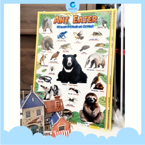 Poster Edukasi Anak Belajar Hewan Pemakan Semut Ant Eater