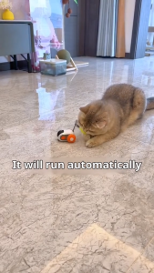 Đồ chơi xe điện tự động điều khiển từ xa tương tác giải trí cho mèo sạc USB - Đen Ta pet shop