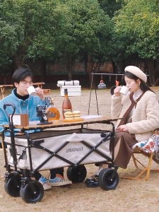 ☑️🚚【SG Ready Stock】Outdoor Picnic Folding Cart Portable Pull-Cart Foldable Multifunction Cart Outdoor Camping Table Light Wagon BBQ Trolley 野营车