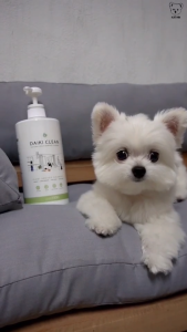 (แถมฟรีถ้วยตวง) ไดกิคลีน น้ำยาดับกลิ่นทำความสะอาดอเนกประสงค์ปลอดภัยต่อสัตว์เลี้ยง