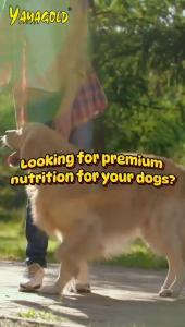 PREMIUM DOG FOOD - YAMAGOLD DOG FOOD 2OKG / MAKANAN ANJING YAMAGOLD SALMON 20KG PREMIUM