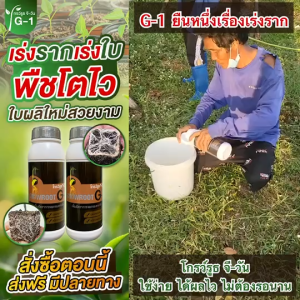 โกรว์รูธ จีวัน 1 + มัลติพลัส 1 + แอนติฟังกัส 1 เซ็ตสามเกลอ (3 ขวด) เร่งราก +บำรุงดิน+ไร้โรคพืช