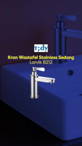 Tidy Kran Wastafel Stainless Sedang Larvik B212