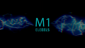 Eleeels M1 Electrical Muscle Stimulation Massager