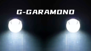 Biled Projector AES 2 Inch G Garamond IP67 Waterproof 60 Watt
