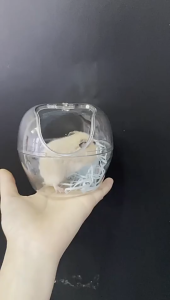 nhà tắm táo trong suốt 2 size cho hamster - T3 PETS SHOP