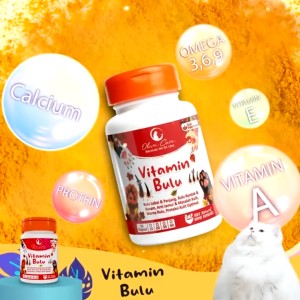 Olive Care Vitamin Kucing: Solusi Bulu Panjang & Sehat