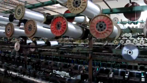 KAISER ตาข่ายปลูกผัก โครงไม้เลื้อย ค้างไม้เลื้อย ตาข่ายพลาสติก ตาข่ายเอ็น ตะข่ายเอ็น ต้นไม้เลื้อย อวนแตง หลักไม้เลื้อย ตาข่ายปลูกแตงกวา ตาข่ายไม้เลือย ตาขายปลูกผัก ตาข่ายทำค้าง ตาข่ายปลูกถั่ว อุปกรณ์ทำสวน ของแต่งสวน อุปกรณ์แต่งสวน