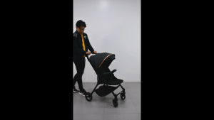 Giant Carrier – Kyri Stroller – Multi-Position Recline Seat Adjustable Footrest & Expandable Canopy