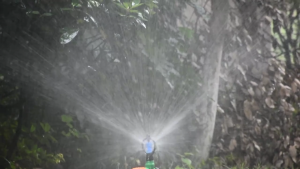 Béc tưới cây phun mưa thân xoay trục xoay