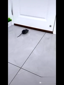 Calden Silikon Penutup Celah Bawah Pintu Alas Pintu Penghalang Debu Kecoa Binatang Suara/Strip Segel Pintu