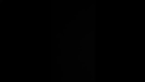 FT STAR Professional Vocal Dynamic Microphone (Black) with 10M Heavy Duty MIC Wire For Karaoke