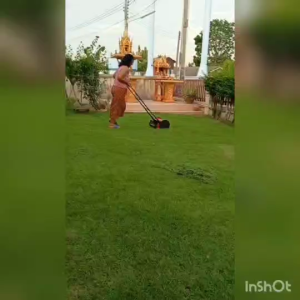 เครื่องตัดหญ้า รถตัดหญ้า รถตัดหญ้าไร้สาย ไม่ใช้ไฟฟ้า-น้ำมัน เหมาะกับหญ้าสูง2-5ซม. รอบการตัด1-2ครั้ง/wk.