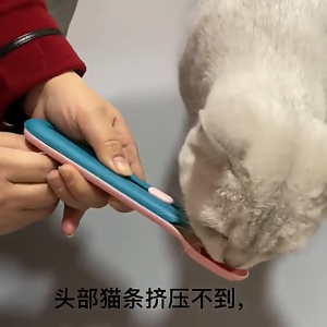 Pet Treat Feeding Spoon/Liquid Snack Feeding Spoon-Random Colour