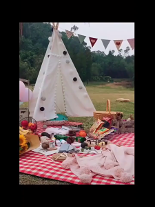 Thảm picnic thảm decor dã ngoại cao cấp chụp ảnh cực đẹp gấp gọn dễ dàng mang theo-TyHome