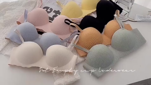 Redstar - Bra Sport Pakaian Dalam Wanita High Quality Terbaru BRA11