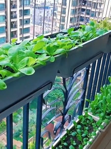 a household vegetable plastic basin，A rectangular vegetable planting basin on the balcony