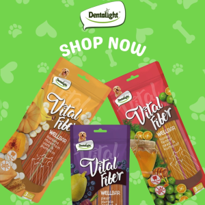 Dentalight JUMBO Vital Fiber Grain-Free Wellbar Dental Dog Treat 3 Vegetable and Fruits Flavors Available 8-Inch 250g