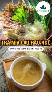 Trà mía lau râu ngô thanh nhiệt mát gan giảm nóng trong - Chợ Thảo Dược Việt