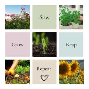 5in1 Hot Pepper Bundle Pack Rare Hot Pepper Seeds Bundle Pack Heirloom Bundle Pack Organic Seeds Hot Pepper Seed Pack Vegetable Seed Pack